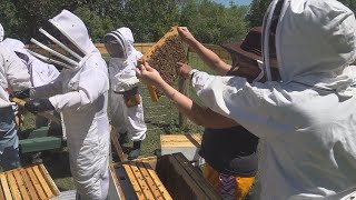 How Hives for Heroes trains new recruits