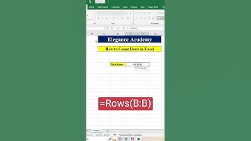How to Count Total Rows #excel #msexcel #shortsvideo #shorts #ytshorts #eleganceacademy #rows