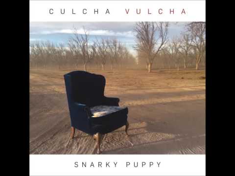 Snarky Puppy - Grown Folks
