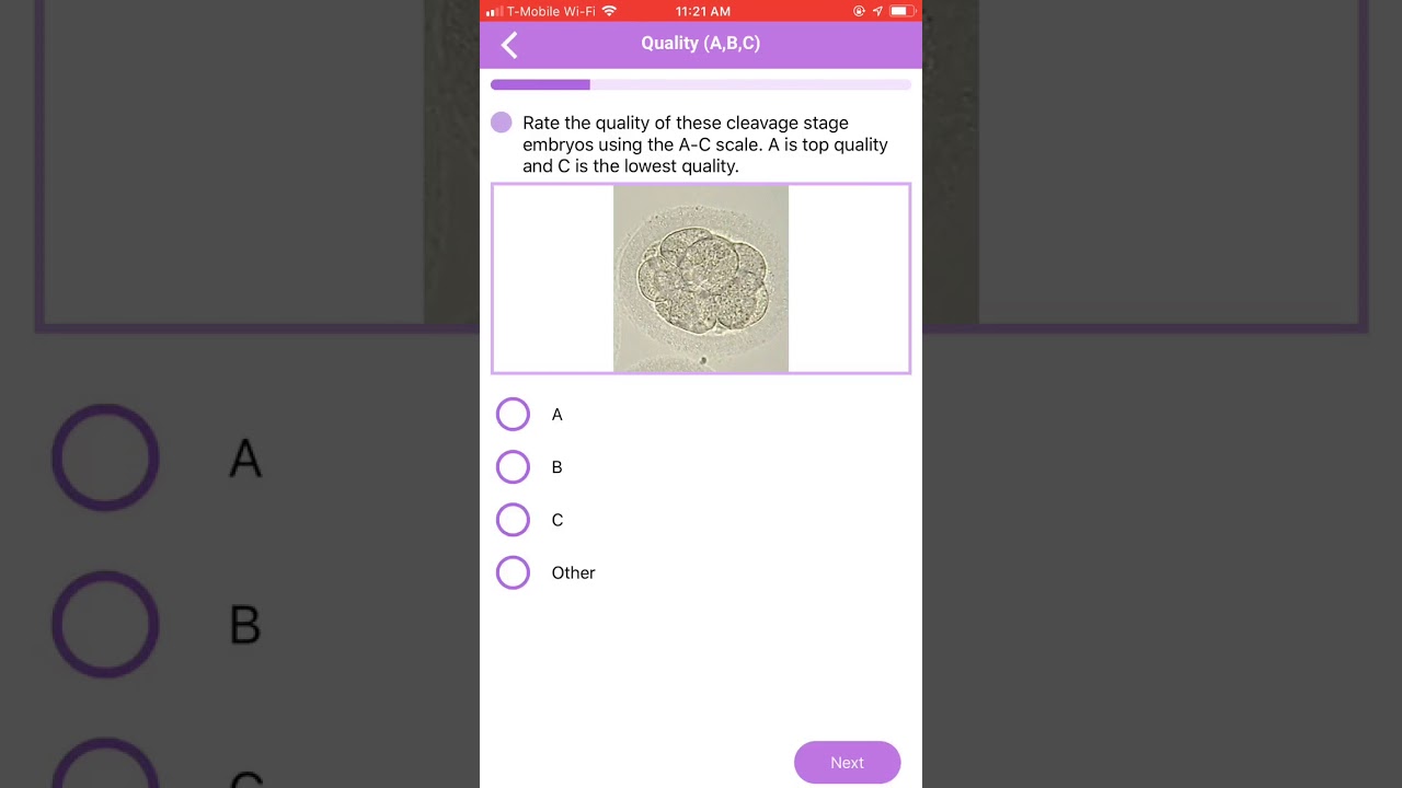 Day 3 Embryo Quality (A-C Scale)