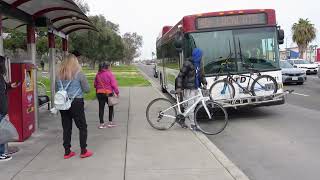 Teaching, Not Tickets - Pedestrian Safety