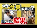 【保護犬】なぜ食糞するのか直接聞いてみたら驚きの結果が。。。（アニマルコミュニケーション）