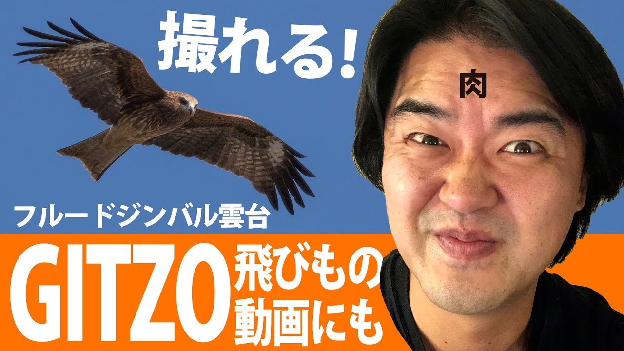 すごいぜジッツォ！GITZO GHFG1フルードジンバル雲台！動体・飛びもの 