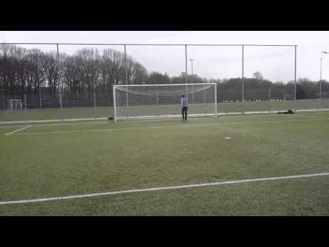 NICE GOAL VAN ERAY