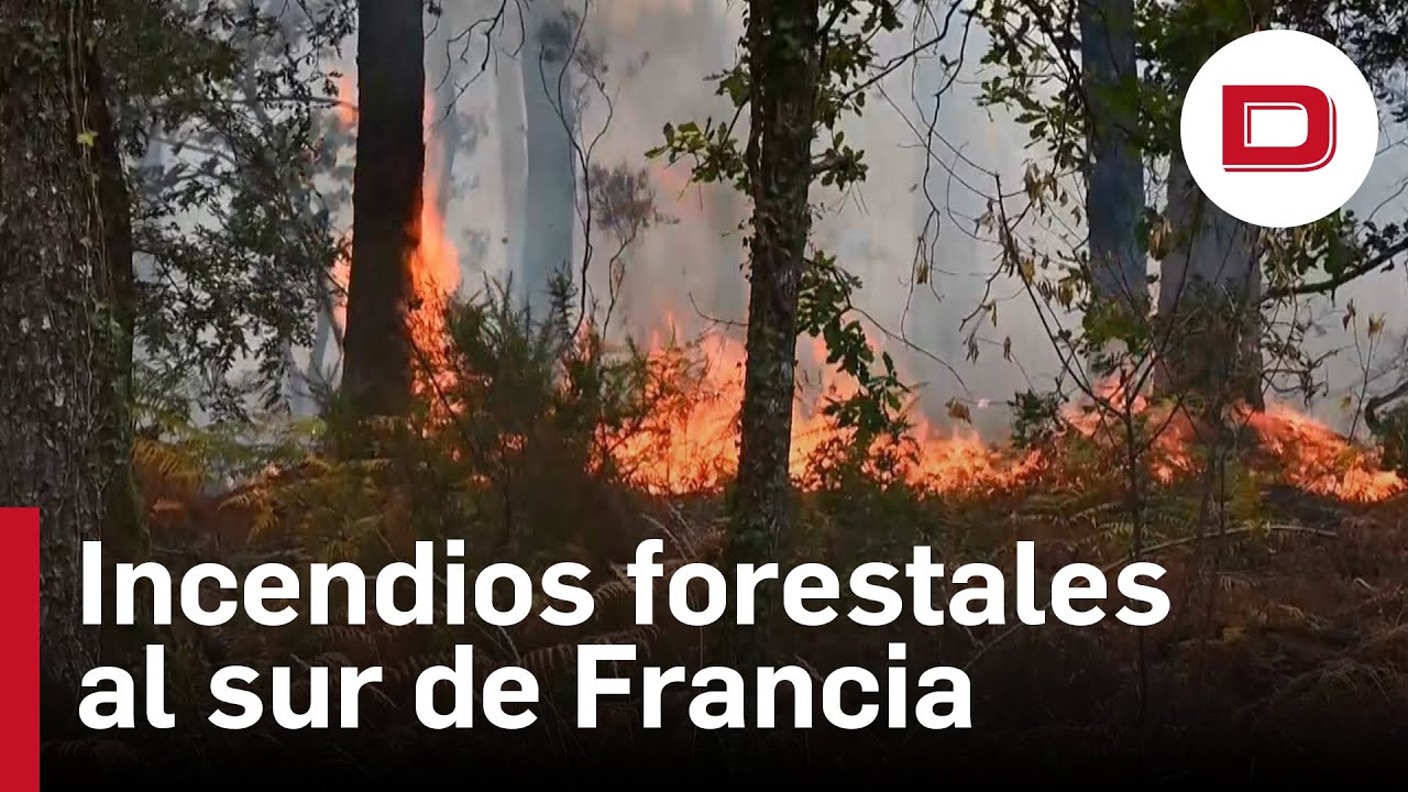 Los incendios forestales siguen asolando el sur de Francia - YouTube