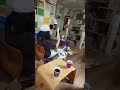 ネコカフェ。①
