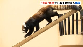 動画ニュース（県内）｜SBSテレビ[静岡放送]-アットエス