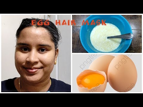 Egg And Coconut Oil Hair Mask For Hair Growth  Peppy Blog