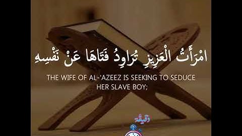 مقطع من سورة يوسف | القارئ طارق محمد