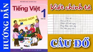 Viết chính tả | Tiếng Việt Lớp 1 | CÂU ĐỐ