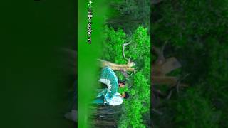 Apasara  Ho munda status #shortvideo #shortsfeed #short #shorts #homundashort #4k_status