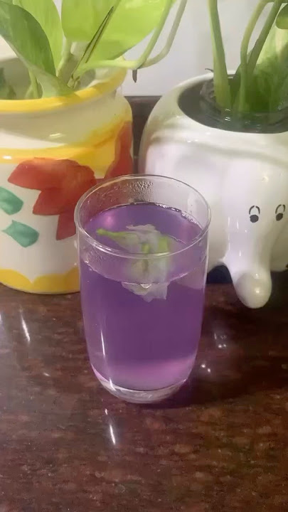 Butterfly pea flower lemonade !!!