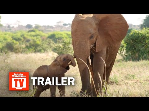 the-elephant-queen-trailer-#1-(2019)-|-rotten-tomatoes-tv