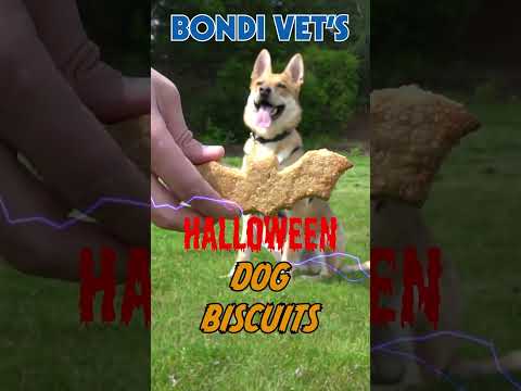 Video: Sušenky arašídové máslo pro psy