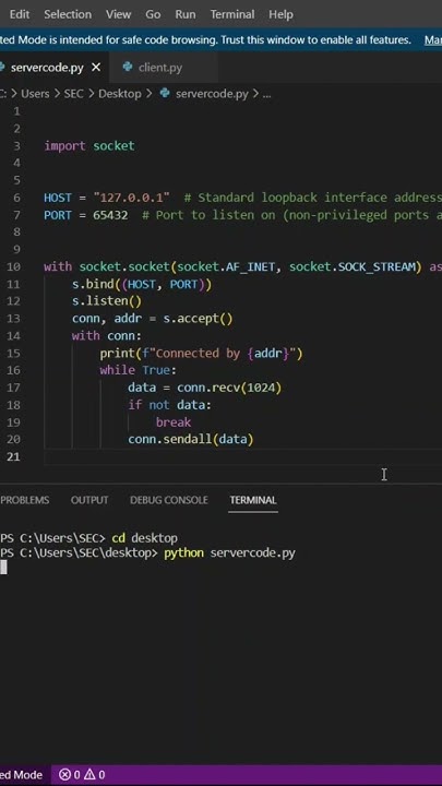 Server connect With help Socket Using Python Programming - YouTube