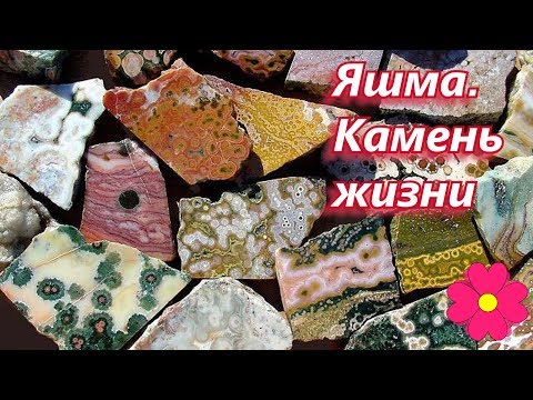 Яшма.  Камень жизни