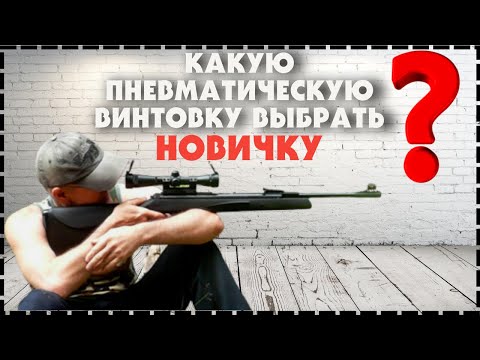 Какую Пневматическую Винтовку Выбрать Новичку?