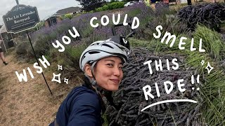 Tour de Lavender 2025 | Chill ride, nice smells & good vibes