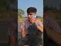 dhan katna 😂 #comedy #viral #exploreshort #trendingshorts #funny