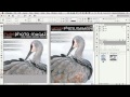 Create Alternate Layouts With the Same Content Using Adobe InDesign CS6