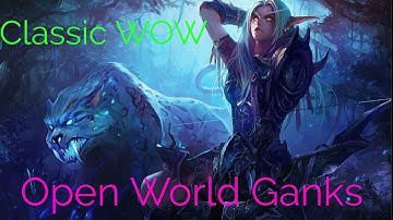 Classic wow Feral Druid - pvp ganks Open world