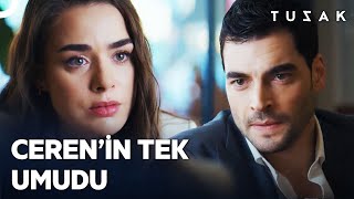 Hiç Biri Bir Çınar Yılmaz Etmez Tuzak 11. Bölüm