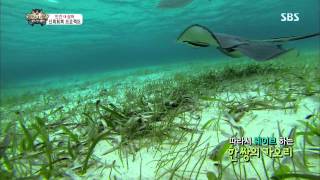 Law of the Jungle 08/23/13 Replay #1(12)