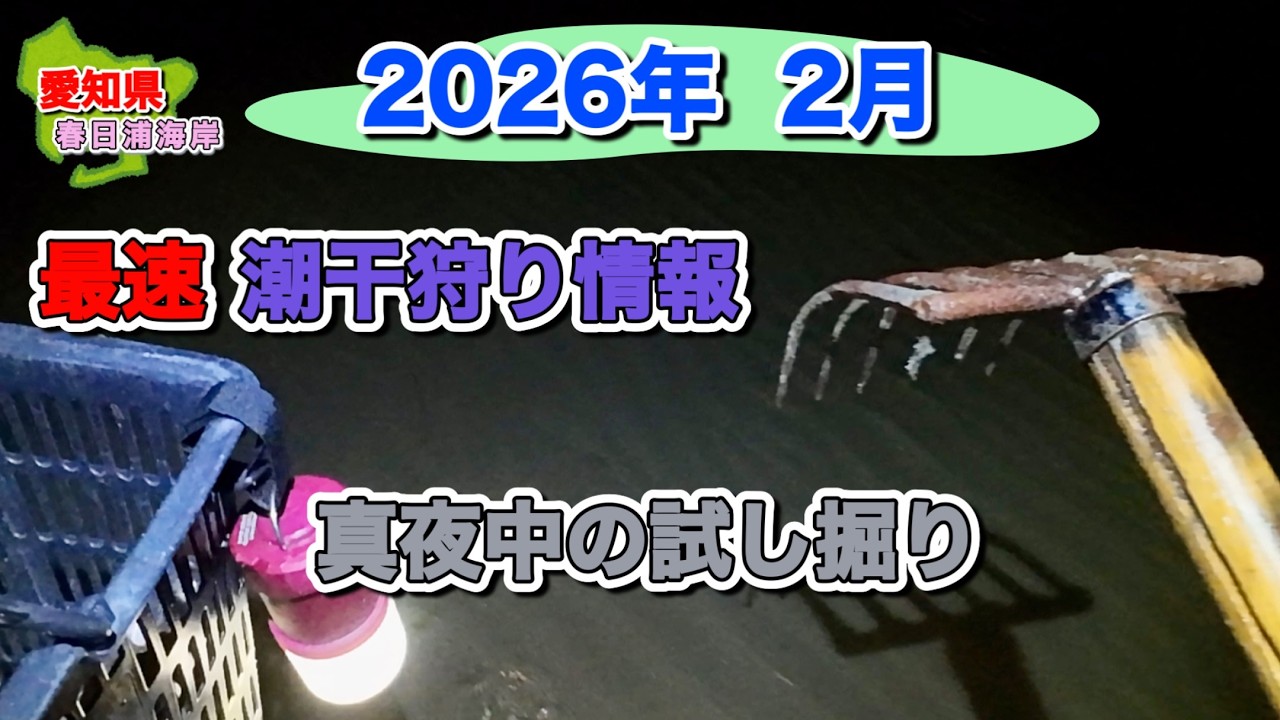 2026年最速潮干狩り情報。今年はヤバいかも⁉️