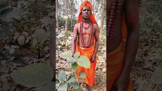 মাজার ব্যথার উপকারিতা ভাটি গাছে #short #bangla screenshot 5