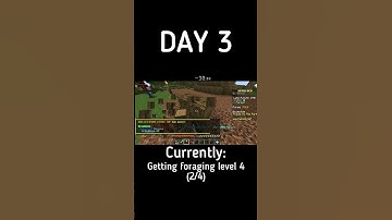 Day 3- 60 Second Skyblock