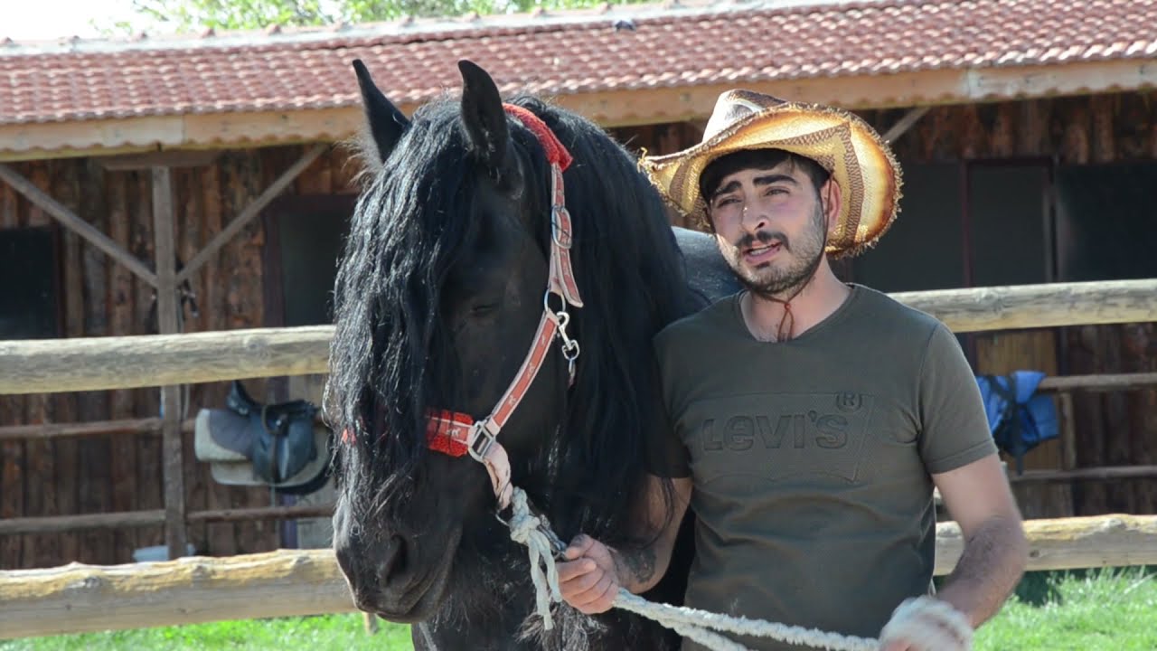 AT ÇİFTLİĞİ BELGESELİ