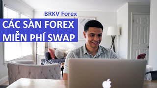 TOP CÁC SÀN FOREX MIỄN PHÍ QUA ĐÊM TỐT NHẤT - BRKV Forex