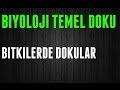 BİYOLOJİ TEMEL DOKU NEDİR HIZLI ÖĞREN