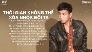 Cô Phòng, Hạnh Phúc Bỏ Rơi Em, Hoa Nở Bên Đường | TOP 20 Nhạc Trẻ Ballad Lofi Xu Hướng 2024