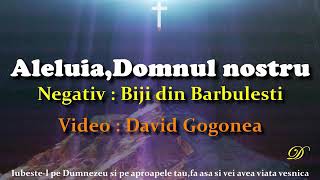 Video thumbnail of "Negativ - Aleluia Domnul nostru ( Tu esti Sfant)"