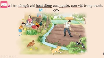 Tiếng Việt lớp 2| Bài 1: Tóc xoăn và tóc thẳng |  tiết 3+4 |Chân trời sáng tạo|Dạy học trực truyến