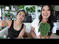 Middle of video