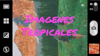 | FILTRO TROPICAL | VSCO | BROKEN DREAMS | SUSCRIBETE |