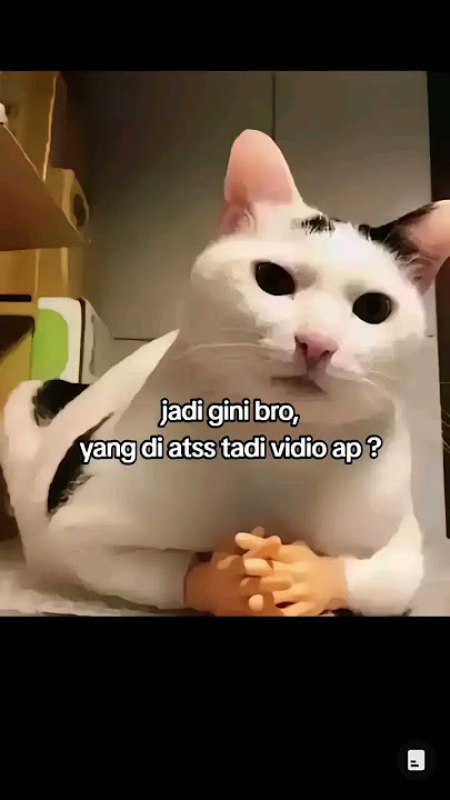 JUJUR LU JANGAN BOHONG #memes #meme #shortvideo