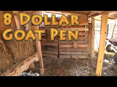 we-built-our-goat-pen-for-8-do