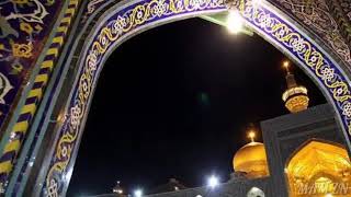Ya Imam e Reza (as) WhatsApp status video ....MAM ZN //1441//2019