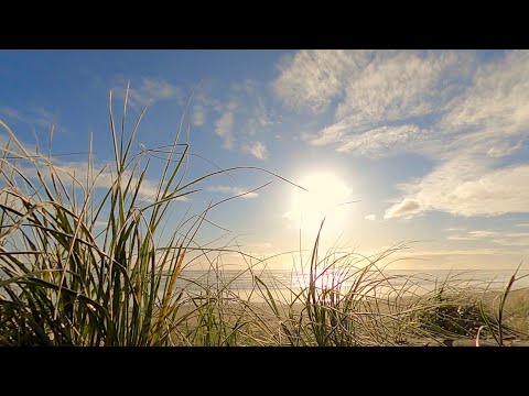 muriwai---piano-music-for-relaxation---2-hours