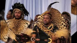 iNyosi yamakhosi uNgcweti -Izibongo zenkosi uMalusi Zondi 