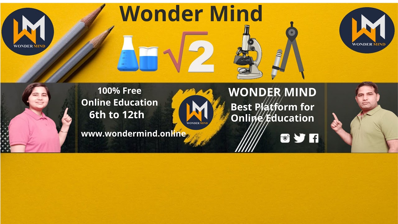 Wonder Mind Live Stream - YouTube