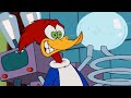 Woody&#39;s experiment goes wrong | Woody Woodpecker