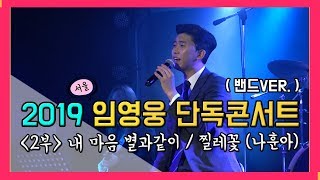 2019 Lim Young Woong Solo concert in Seoul (band ver.) Pt2.