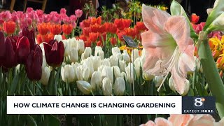 How climate change is changing gardening