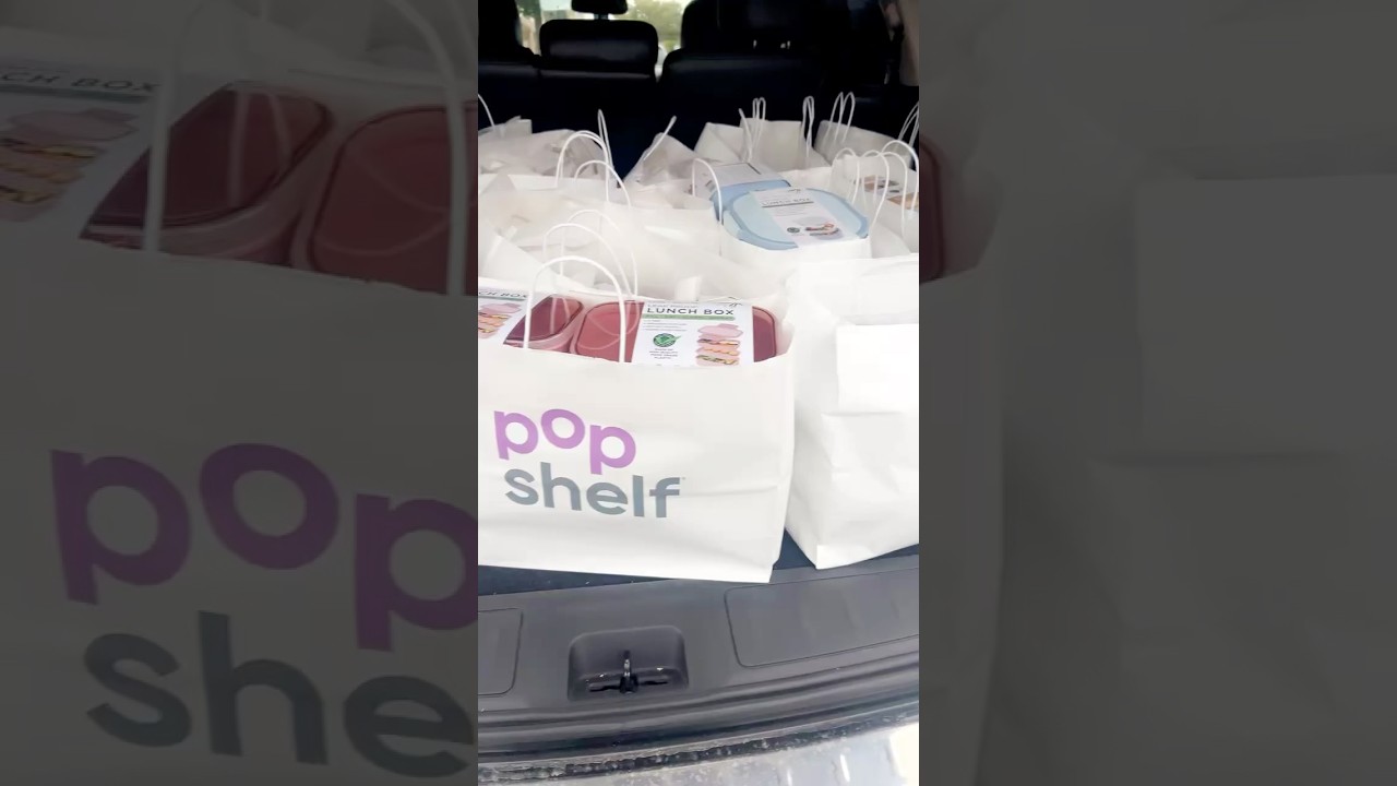 Conclusion of Popshelf $1 haul 