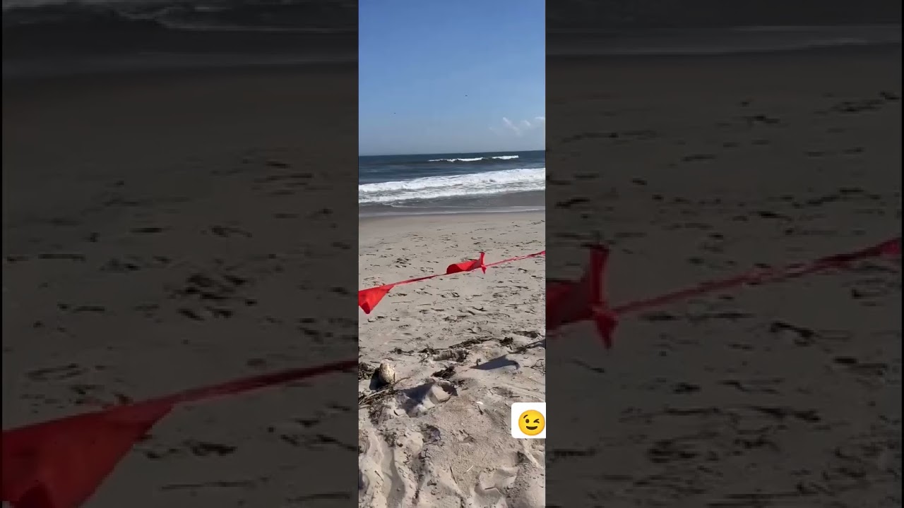 The beach covered with my type 😉. 