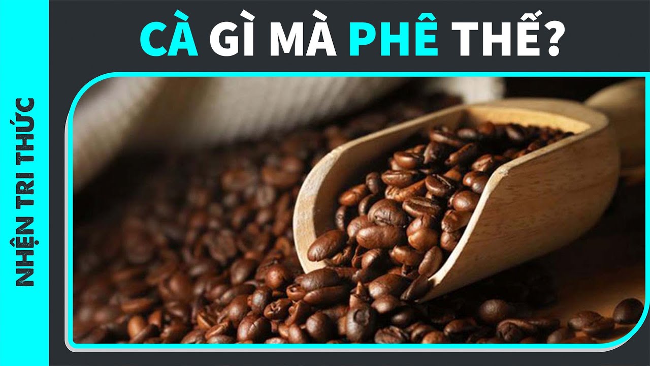 Một số kiến thức chung về cà phê - Phần 1 | Minh | KHOA HỌC